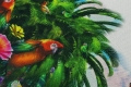 OD N 2403 2134.jpg