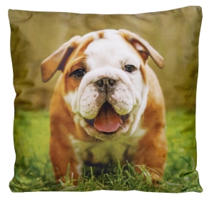 Poszewka Dekoracyjna 40x40 na Poduszkę Pies 5388