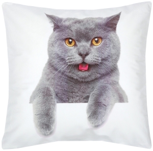 Poszewka Dekoracyjna 40x40 Welurowa Kot