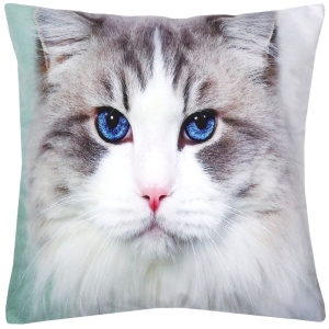 Poszewka Dekoracyjna 40x40 Welurowa Kot z Niebieskimi Oczami