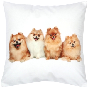 Poszewka Dekoracyjna 40x40 Welurowa Pieski