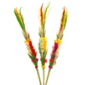 Palma Wielkanocna 70cm Palmy Wielkanocne Palma Ręcznie robiona
