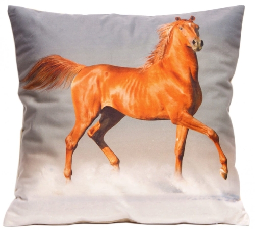 POSZEWKA CO 40X40 FOTO 002 (C1108) POSZ/CO/040040/F002