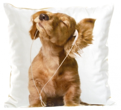 POSZEWKA CO 40X40 FOTO 005 (C257) POSZ/CO/040040/F005