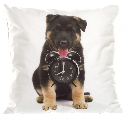 POSZEWKA CO 40X40 FOTO 008 (33) POSZ/CO/040040/F008