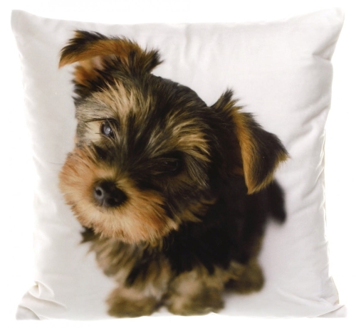 POSZEWKA CO 40X40 FOTO 009 (46) POSZ/CO/040040/F009