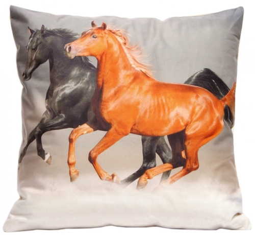 POSZEWKA CO 40X40 FOTO 003 (C1109) POSZ/CO/040040/F003