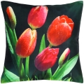 POSZEWKA  40X40 TULIPANY
