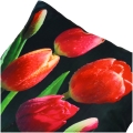 POSZEWKA  40X40 TULIPANY