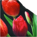 POSZEWKA  40X40 TULIPANY